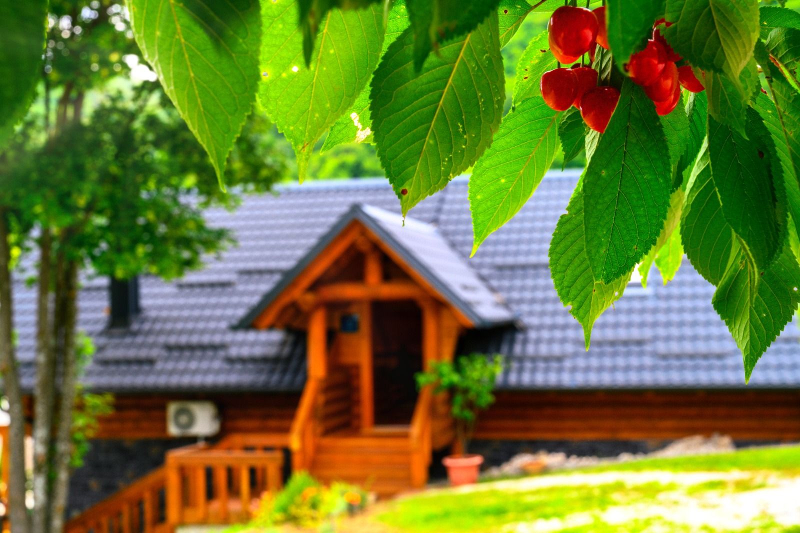 Wellspring kuća za odmor - Ulaz