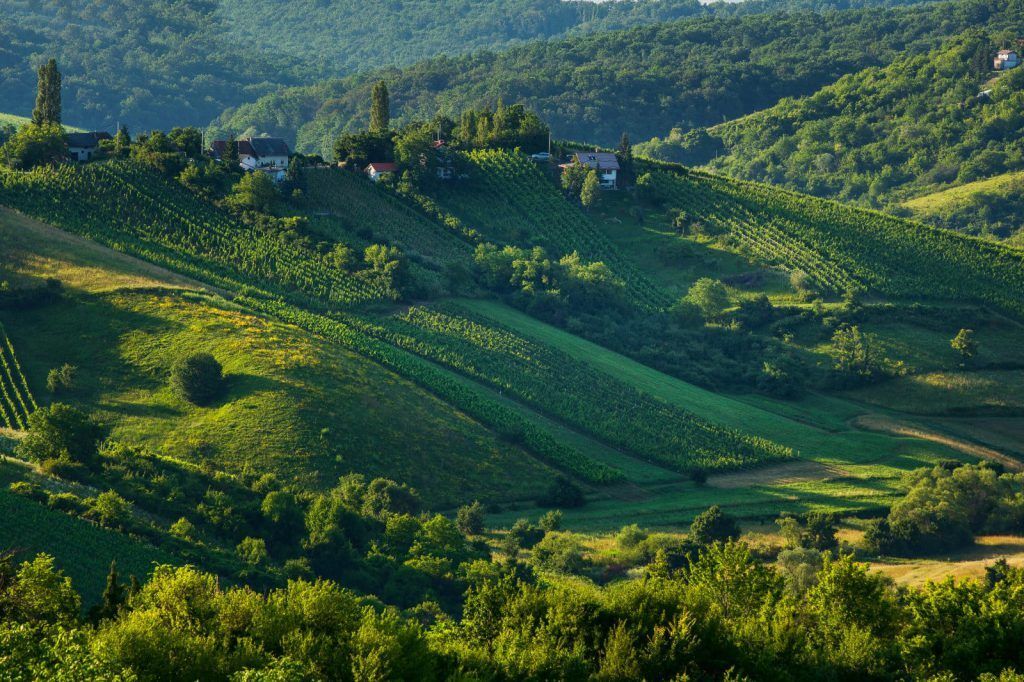wine trails